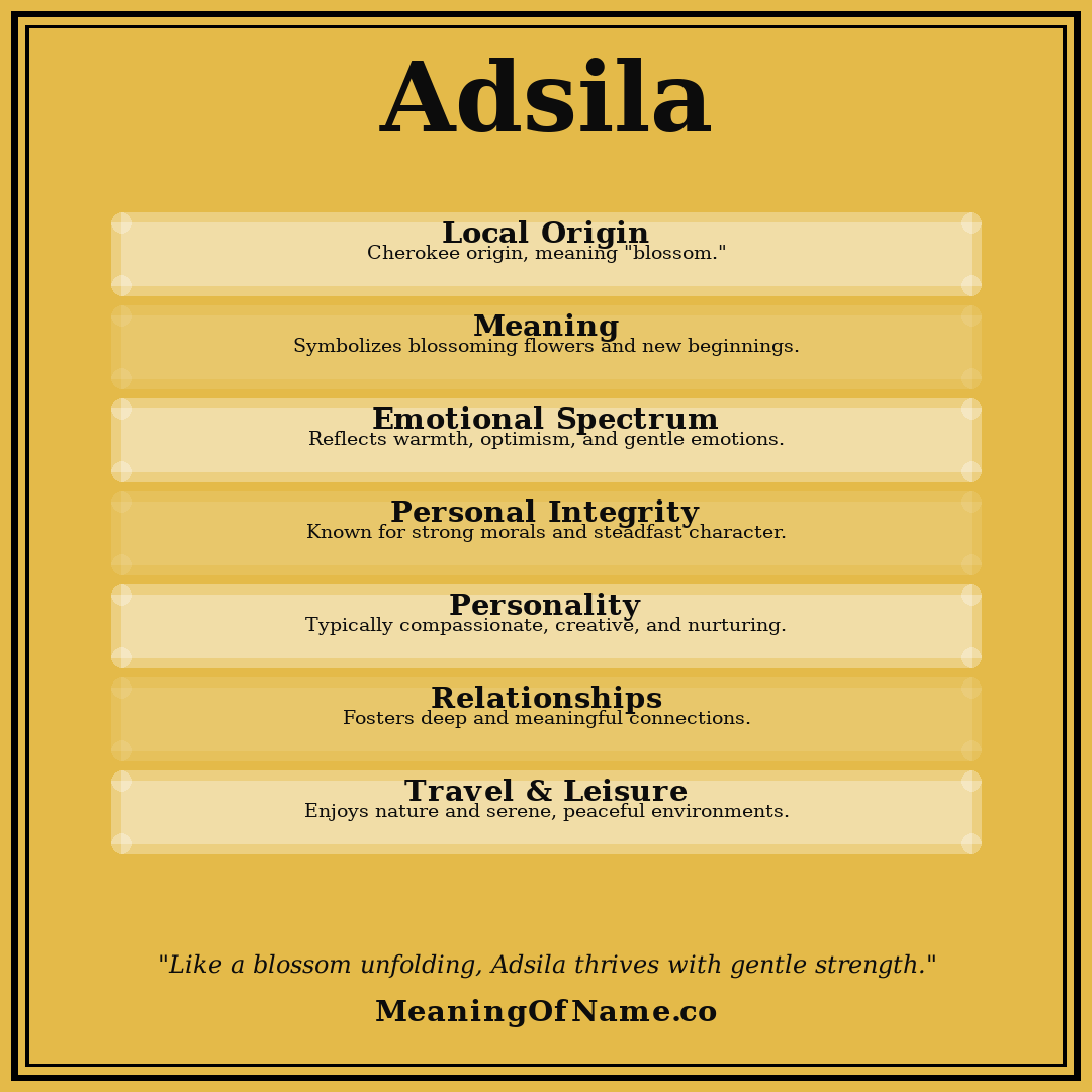 Adsila name meaning poster