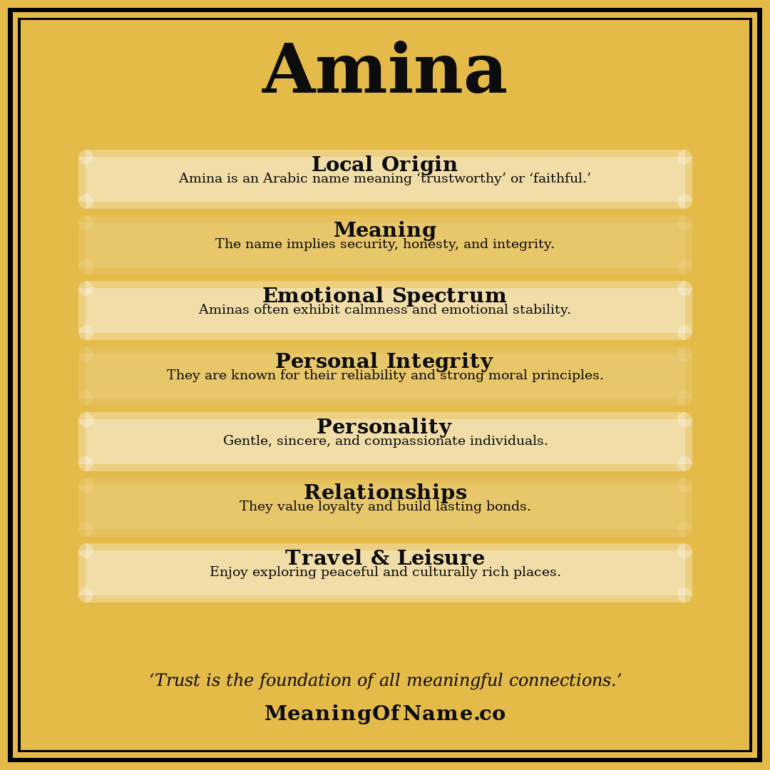 Amina name meaning poster