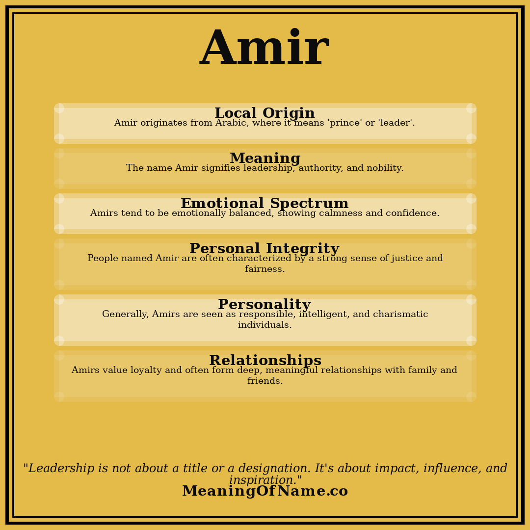 Amir name meaning poster