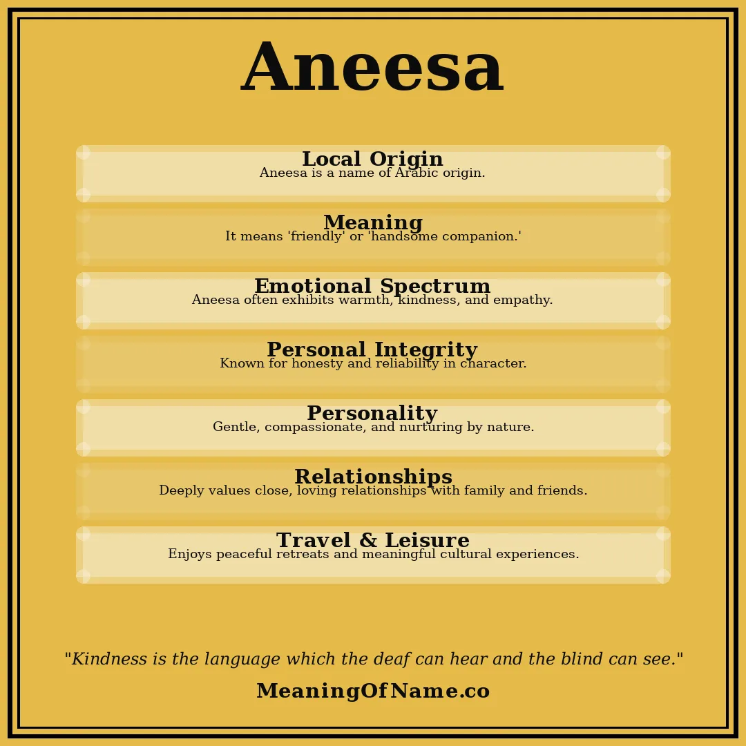 Aneesa name meaning poster