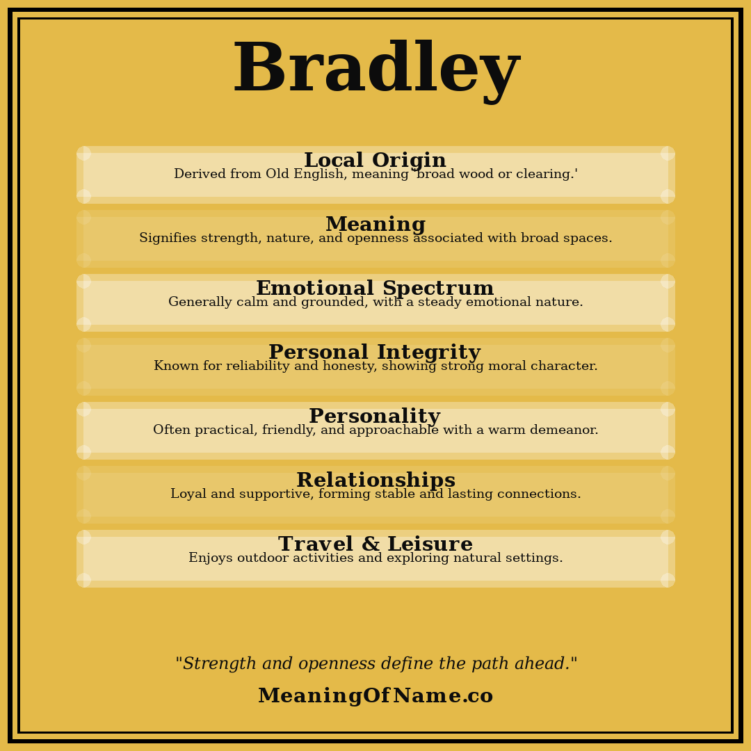 Bradley name meaning poster