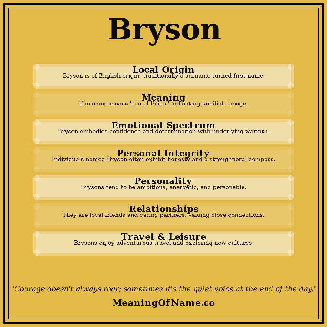 Bryson name meaning poster