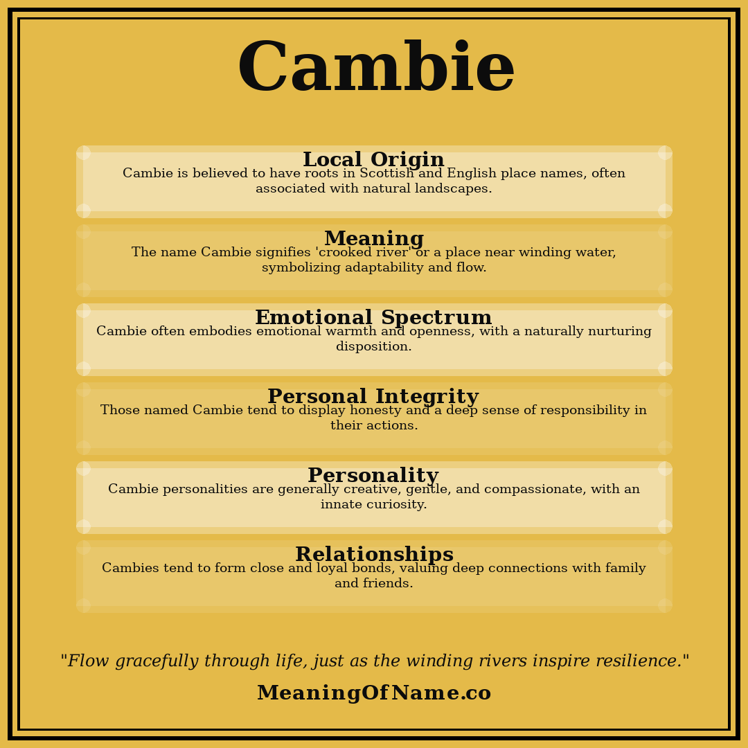 Cambie name meaning poster