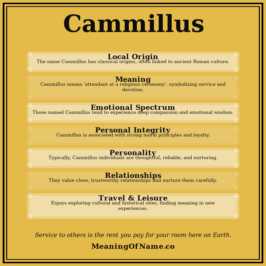 Cammillus name meaning poster