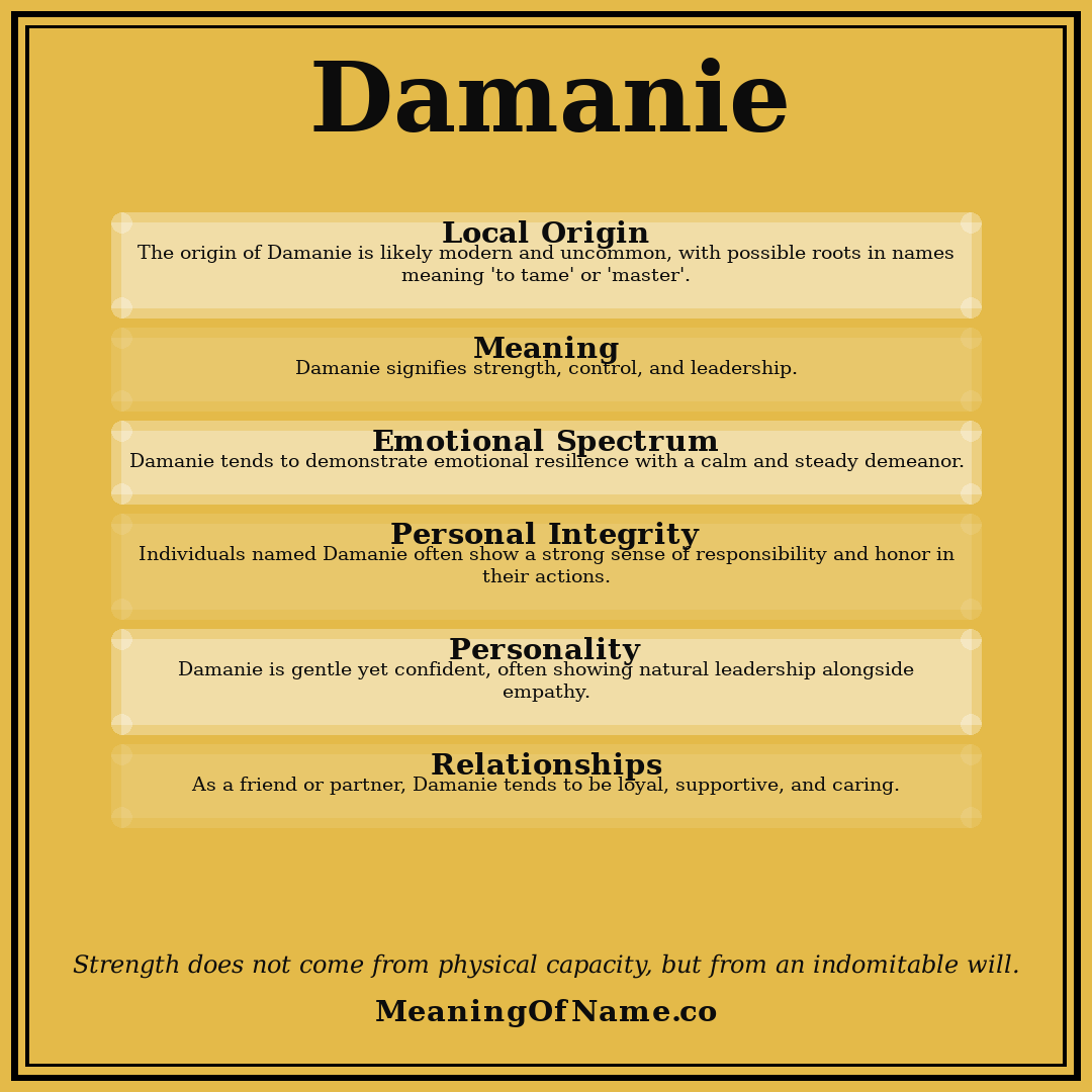 Damanie name meaning poster