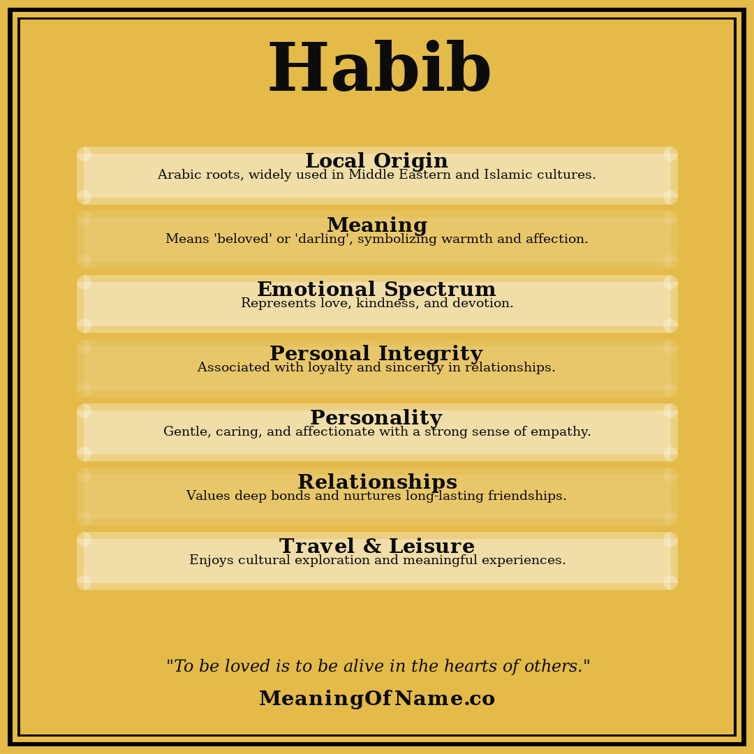 Habib name meaning poster