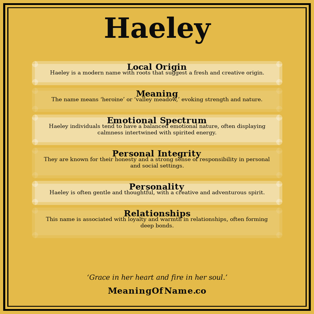 Haeley name meaning poster