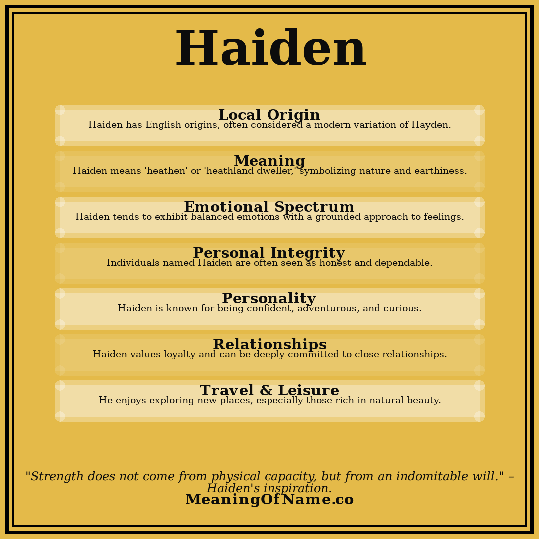 Haiden name meaning poster