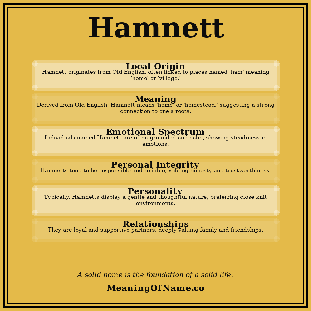 Hamnett name meaning poster