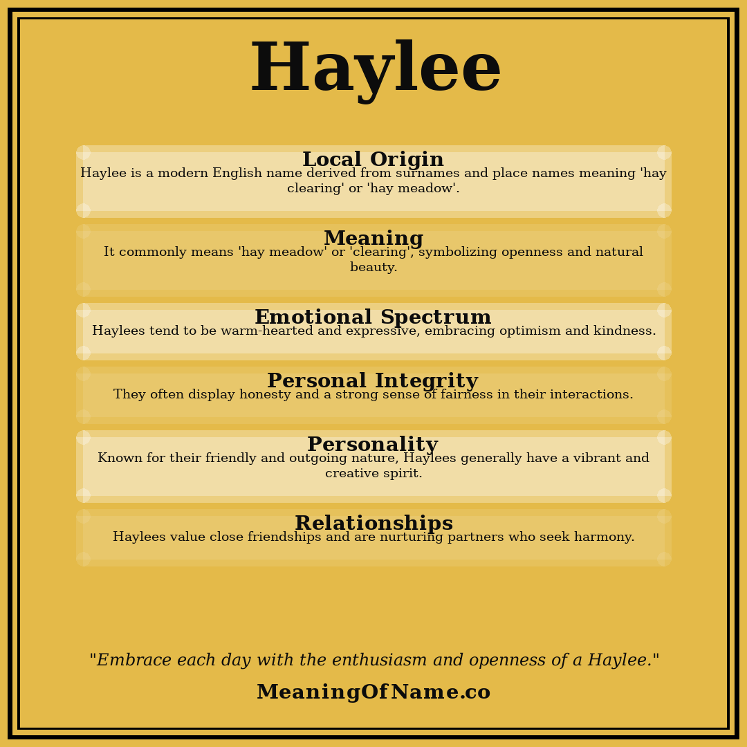 Haylee name meaning poster