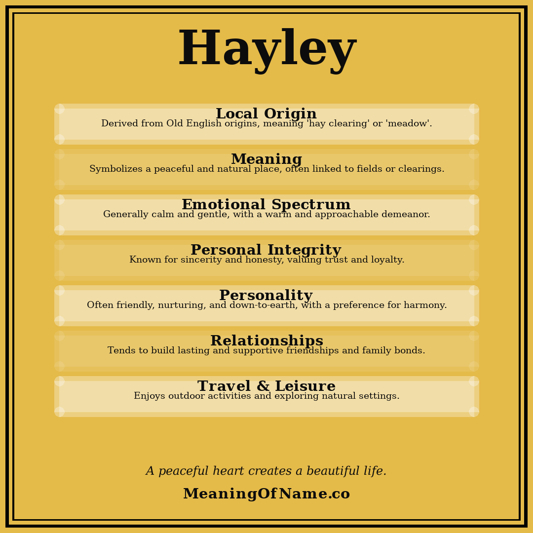 Hayley name meaning poster