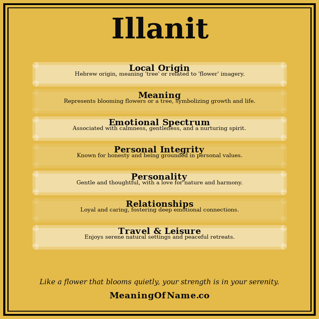 Illanit name meaning poster
