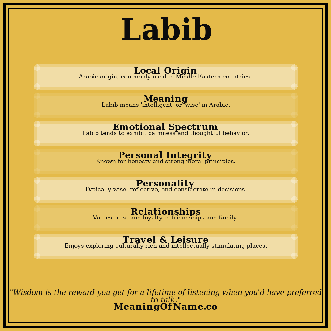 Labib name meaning poster