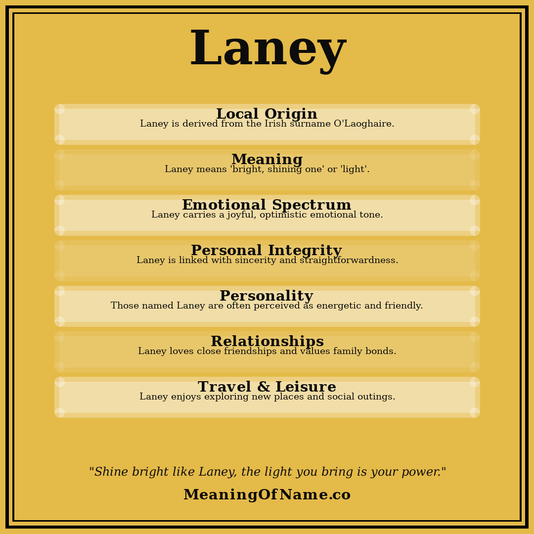 Laney name meaning poster