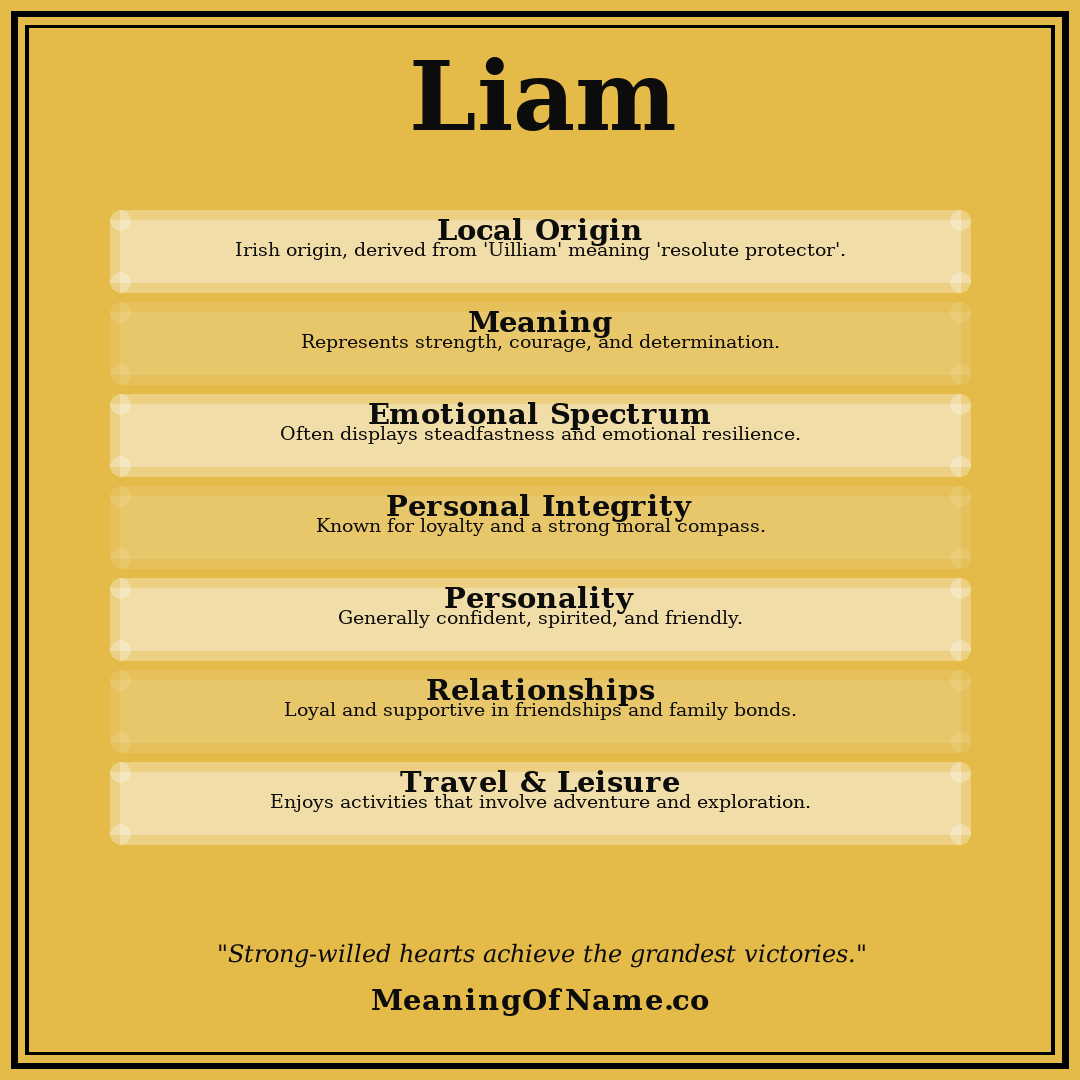 Liam name meaning poster