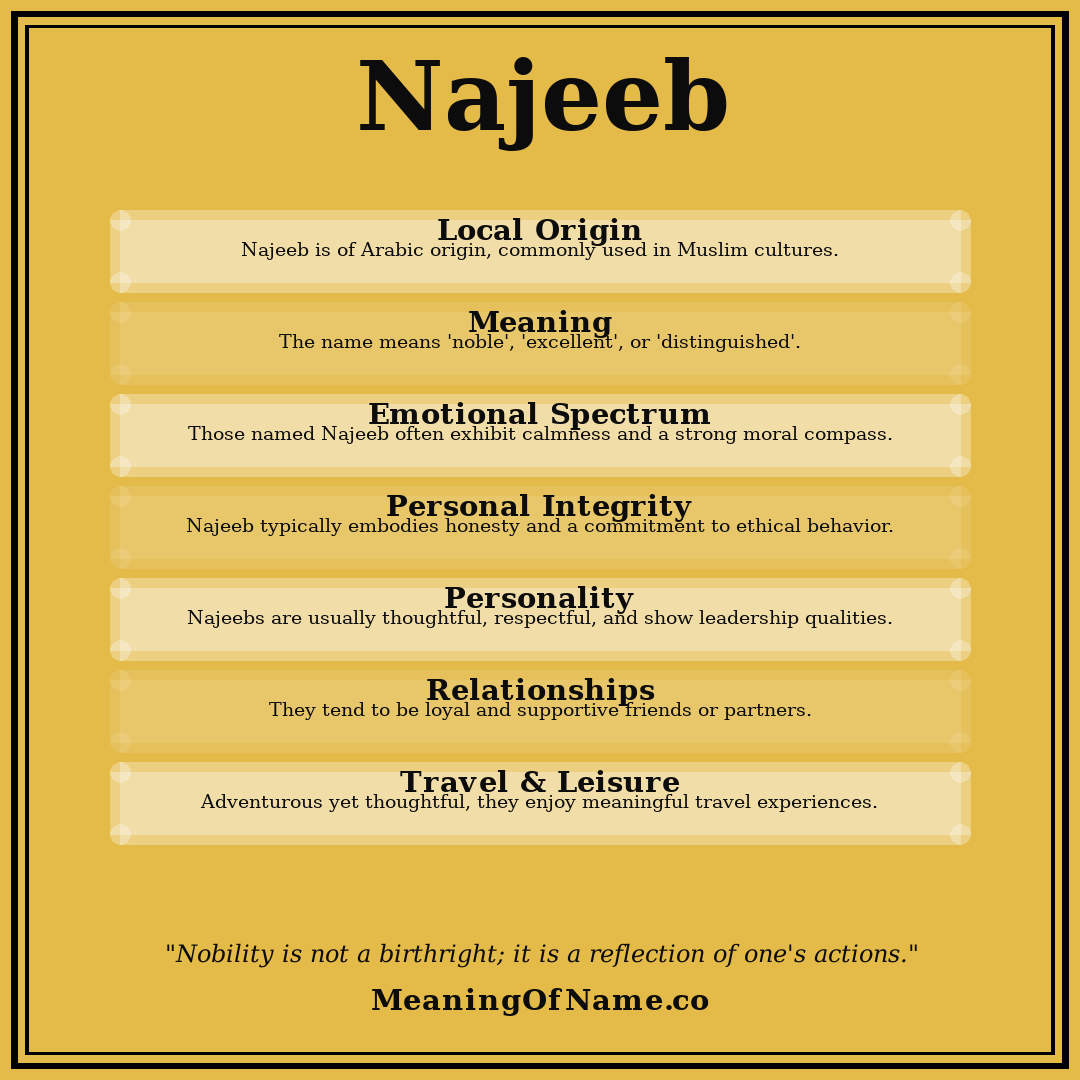 Najeeb name meaning poster