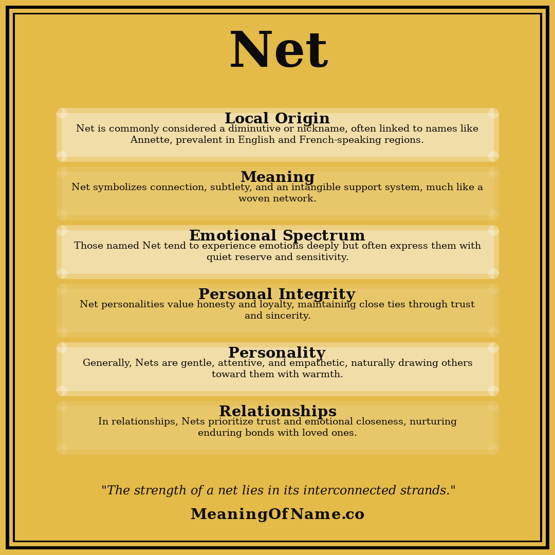 Net name meaning poster