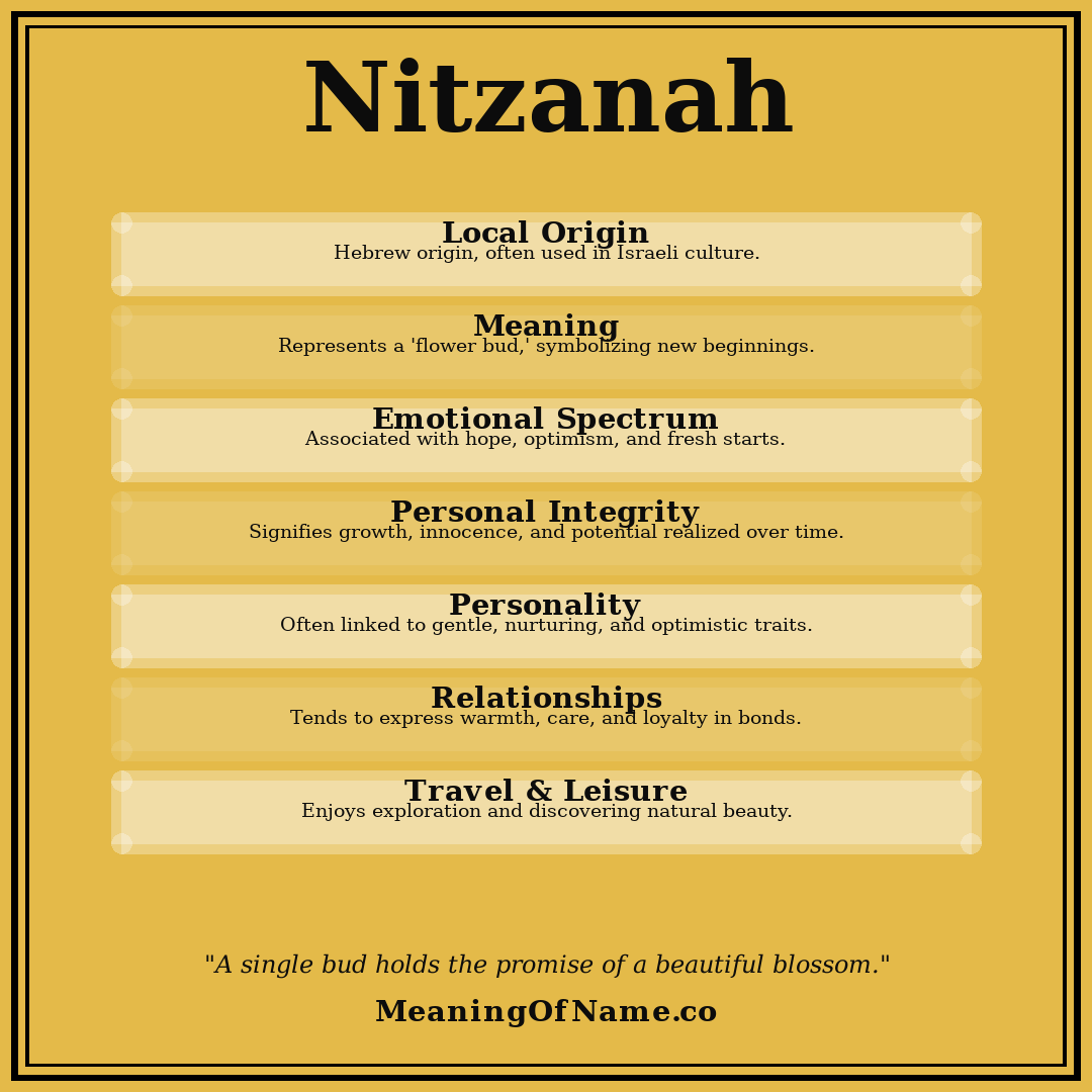 Nitzanah name meaning poster