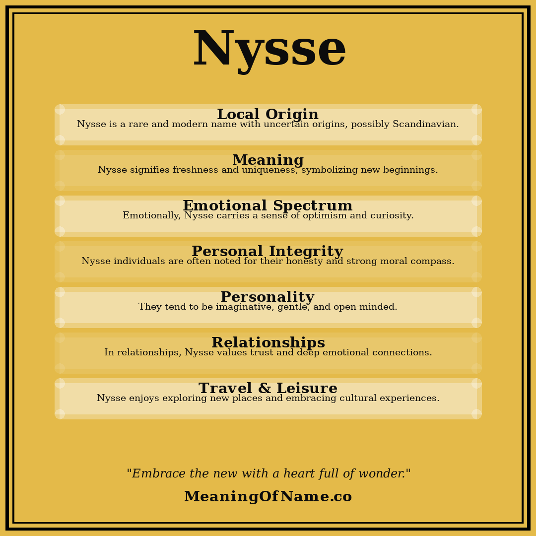 Nysse name meaning poster