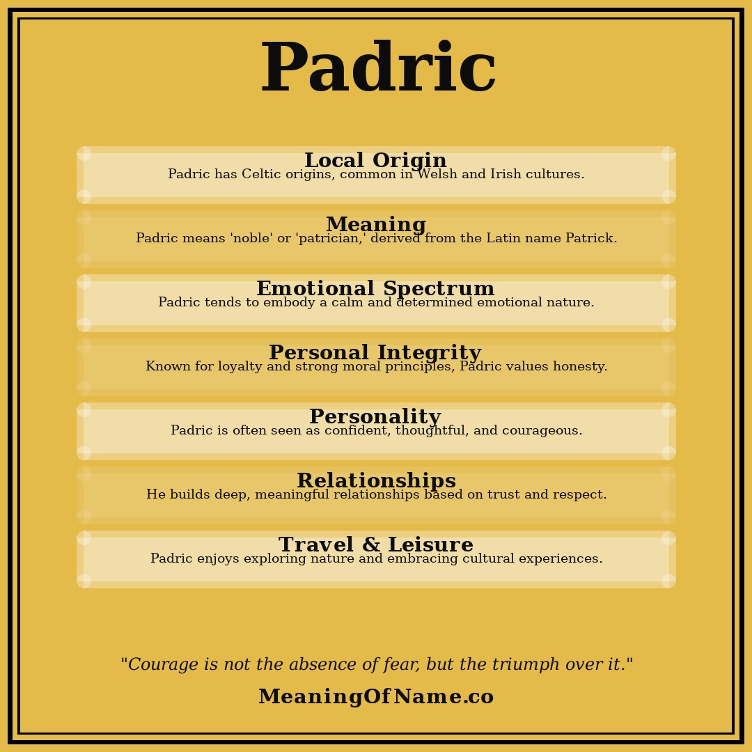 Padric name meaning poster