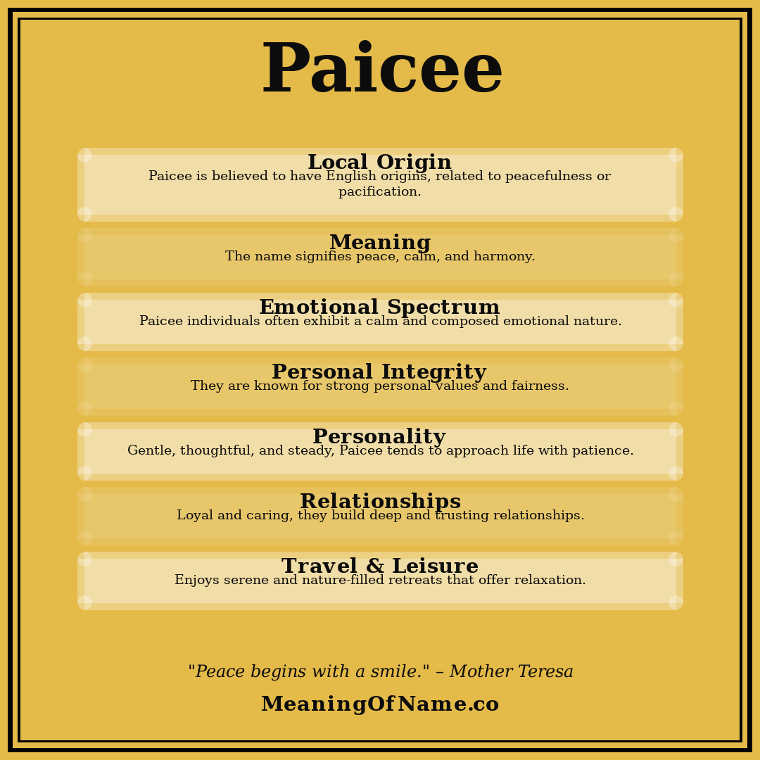 Paicee name meaning poster