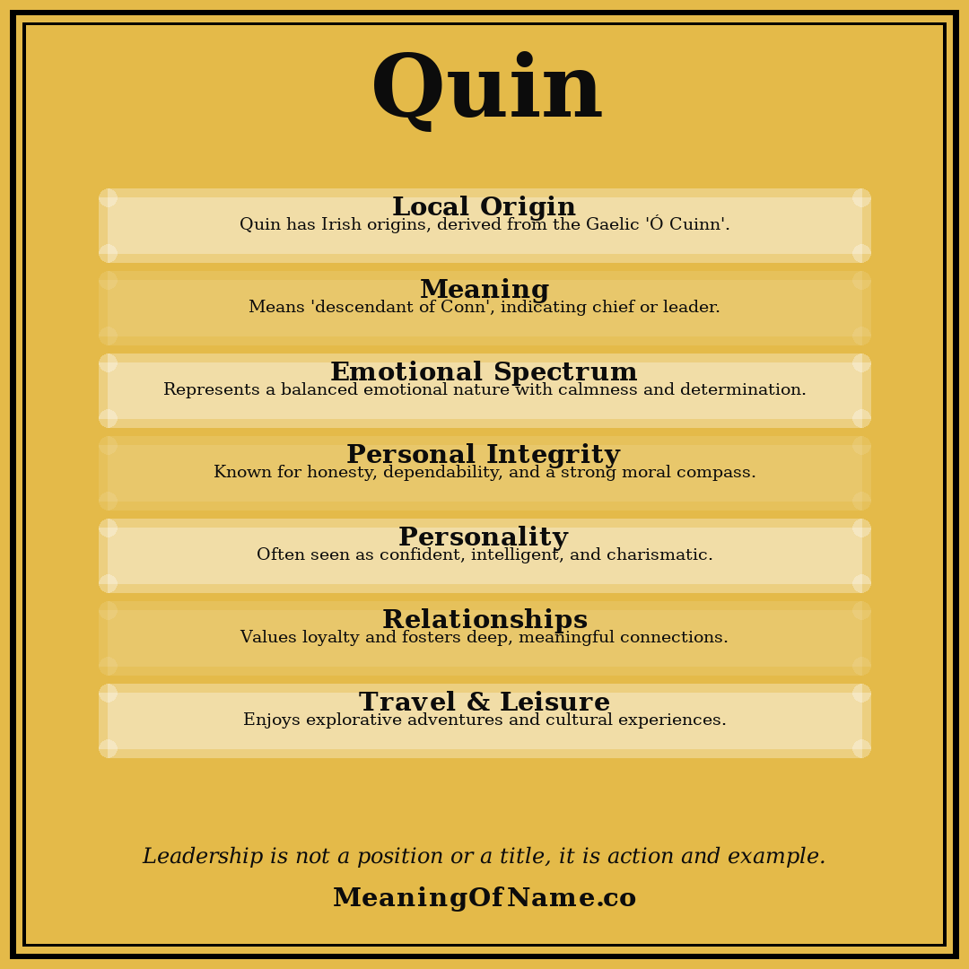 Quin name meaning poster