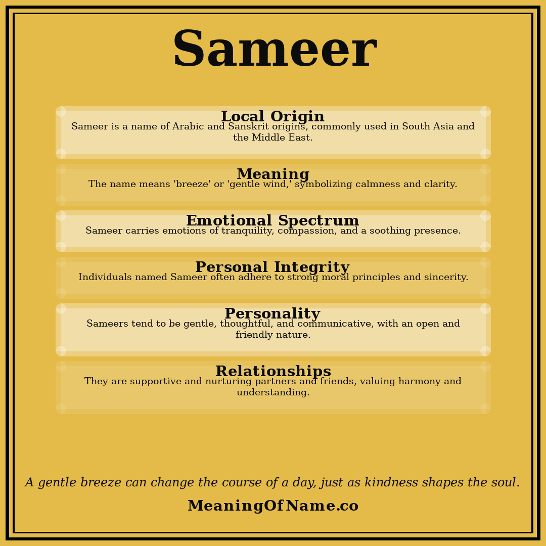 Sameer name meaning poster