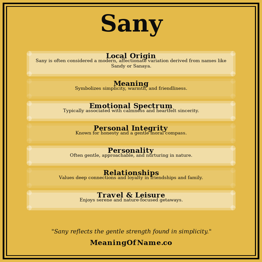 Sany name meaning poster