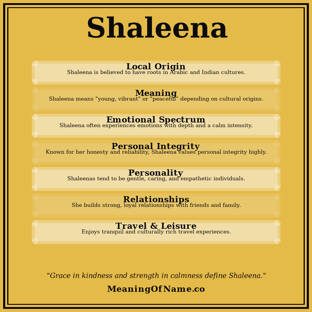 Shaleena name meaning poster