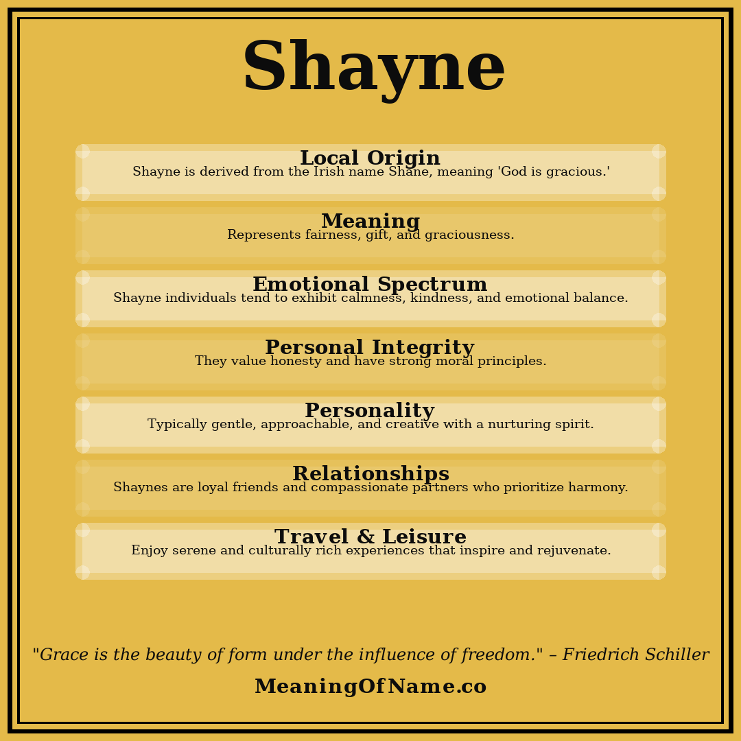 Shayne name meaning poster