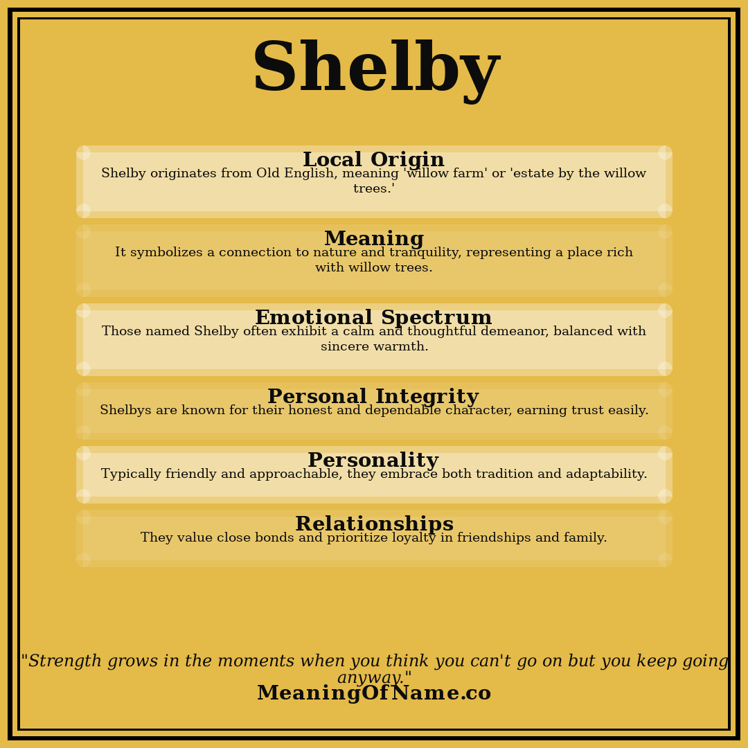 Shelby name meaning poster