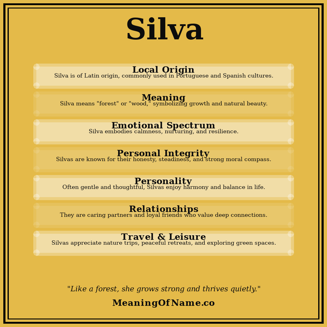 Silva name meaning poster