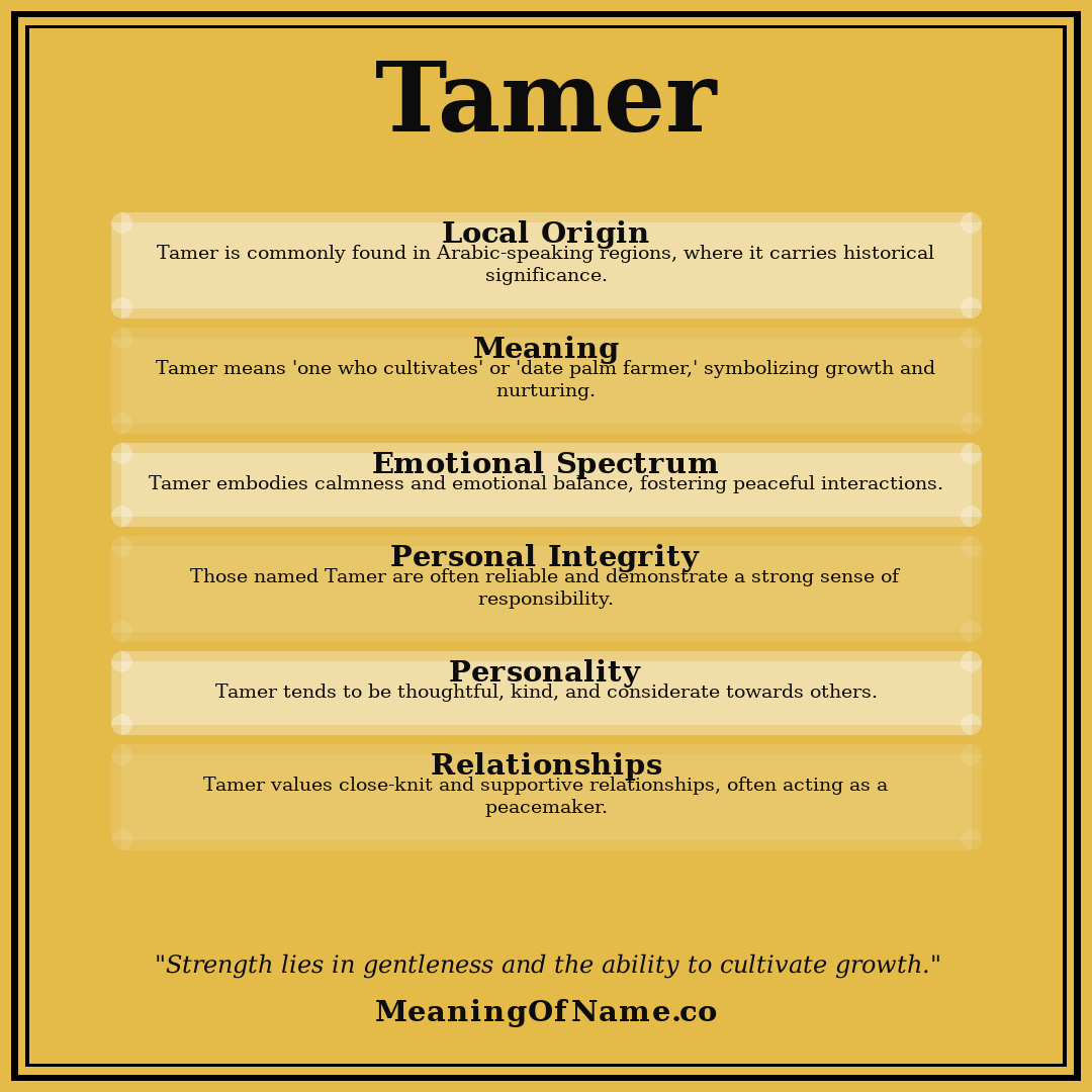 Tamer name meaning poster