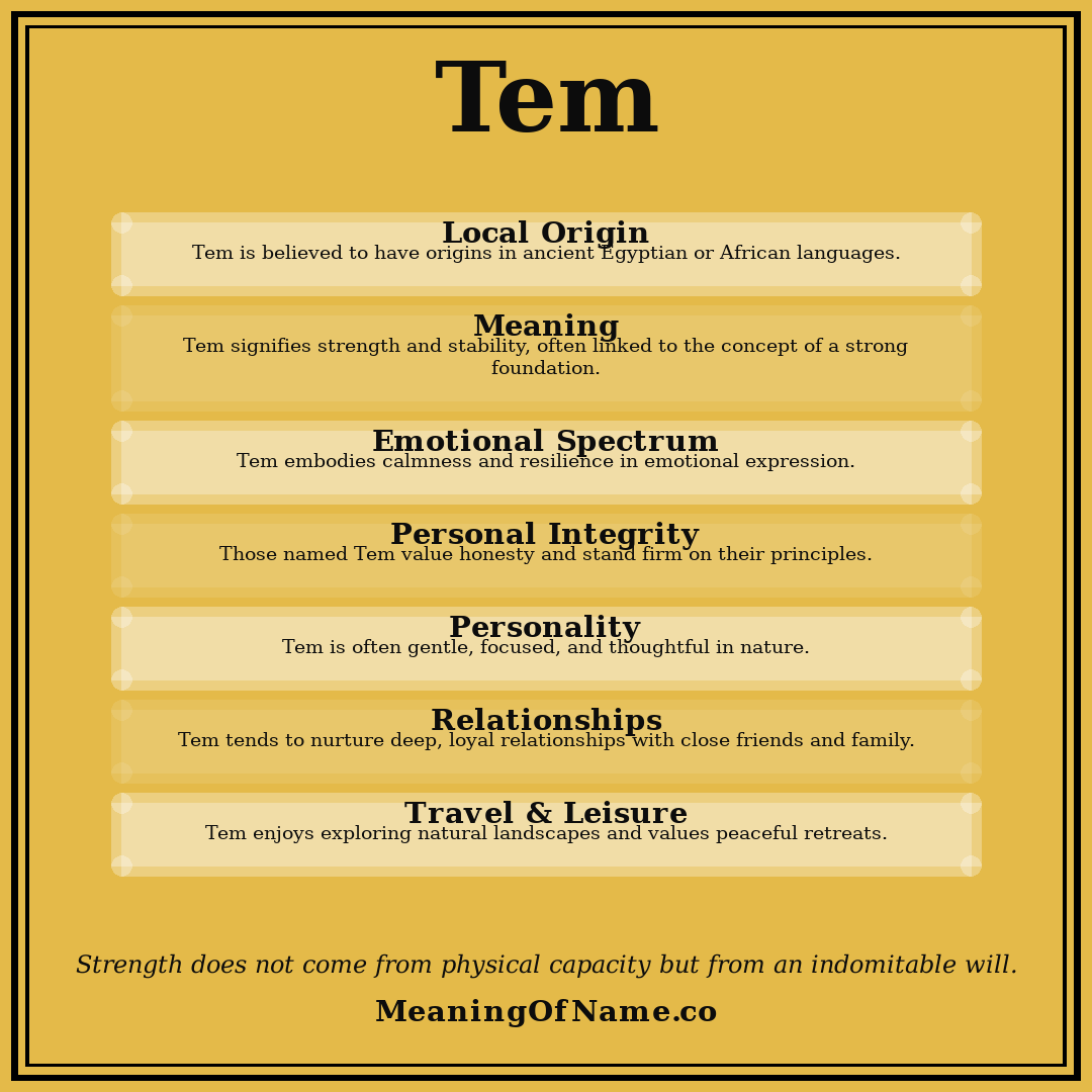 Tem name meaning poster