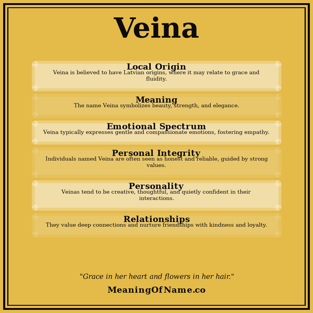 Veina name meaning poster