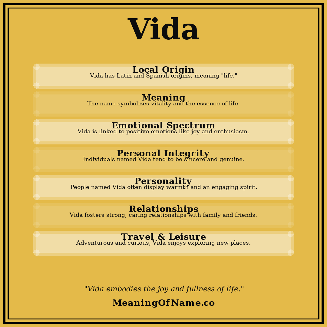 Vida name meaning poster