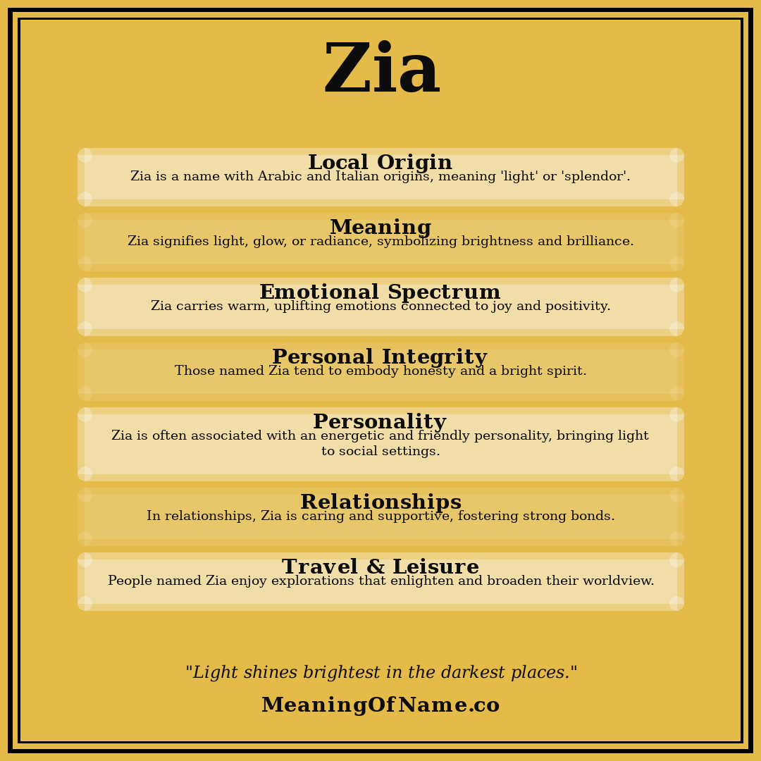 Zia name meaning poster