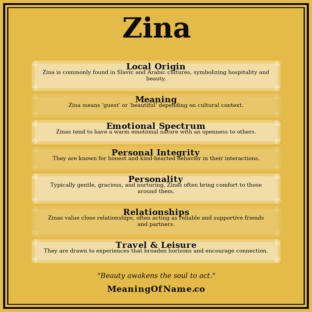 Zina name meaning poster