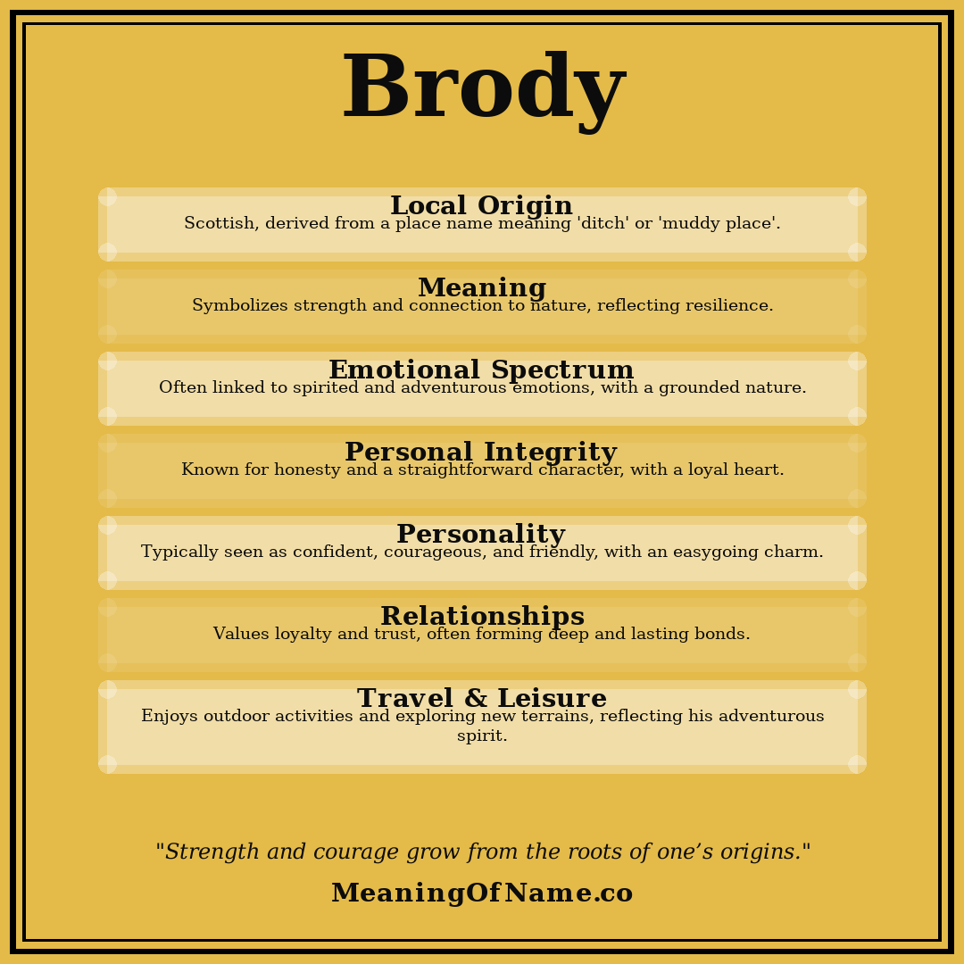 Brody name meaning poster